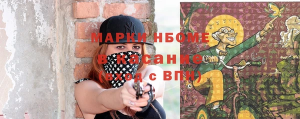 твердый Осинники